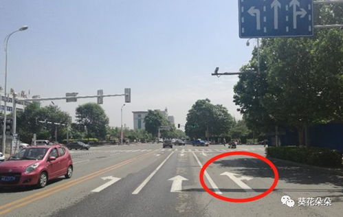 遵化城區(qū)道路通行方式優(yōu)化調(diào)整 多處交通設(shè)施升級(jí)助力市民便捷出行